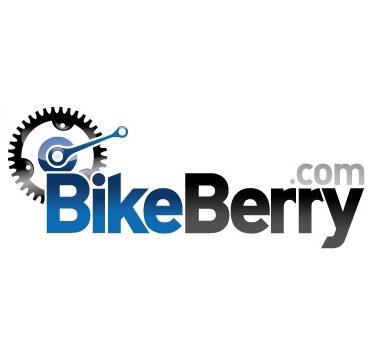 BikeBerry Review: Motorized Bike Kits & E-Bike Components with Mixed Feedback