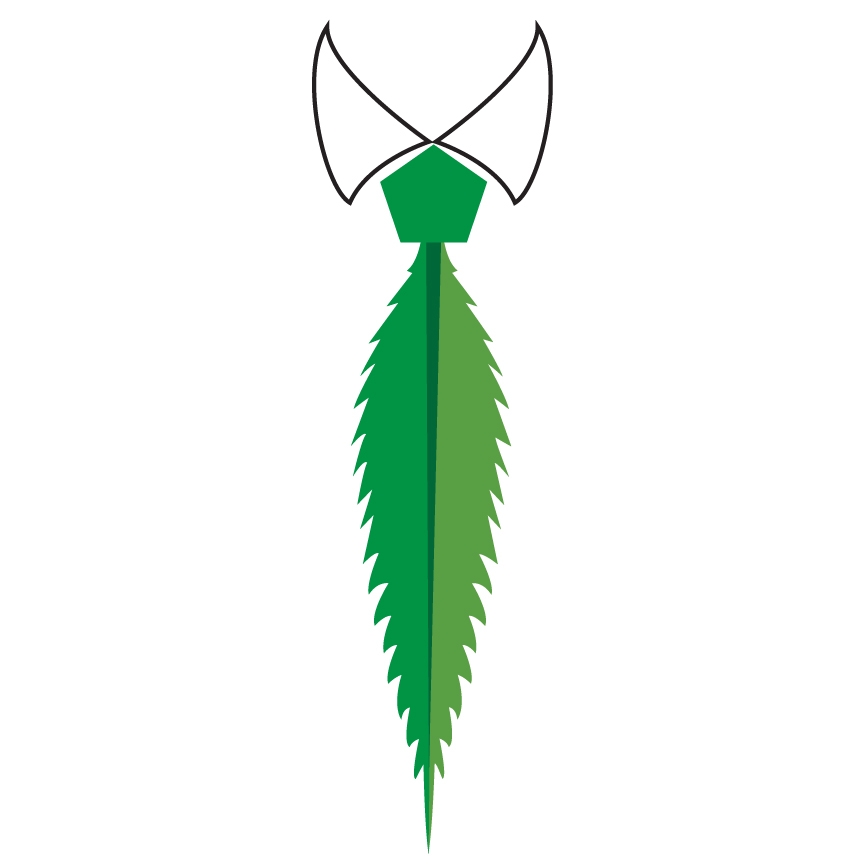 DiscreetSmoker.com Review: Your One-Stop Online Headshop for Discreet, High-Quality Smoking Gear